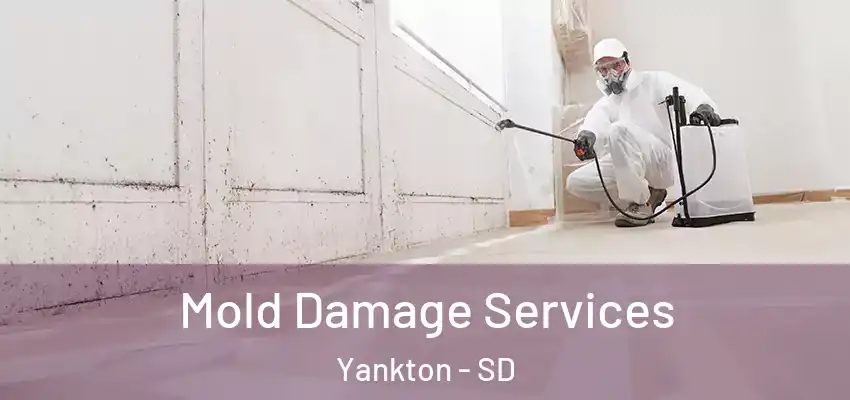 Mold Damage Services Yankton - SD