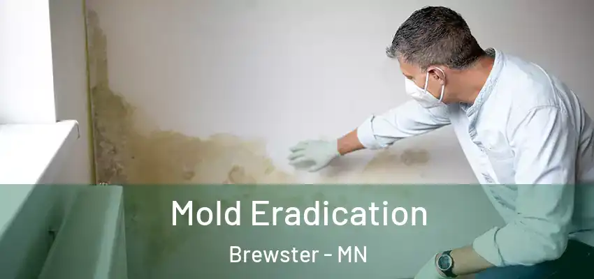 Mold Eradication Brewster - MN