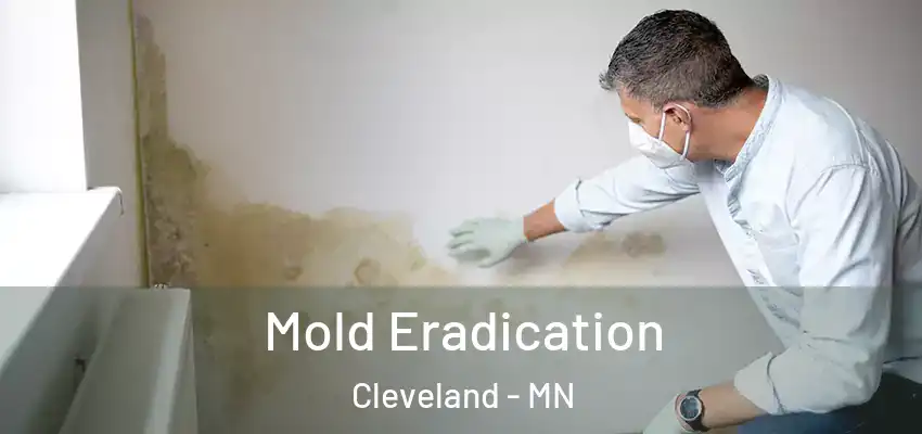 Mold Eradication Cleveland - MN