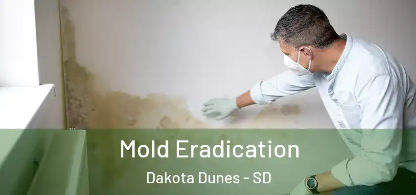 Mold Eradication Dakota Dunes - SD