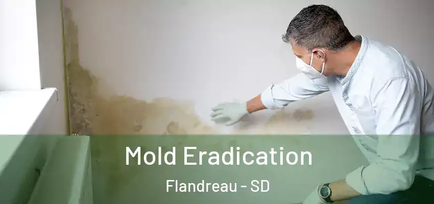  Mold Eradication Flandreau - SD