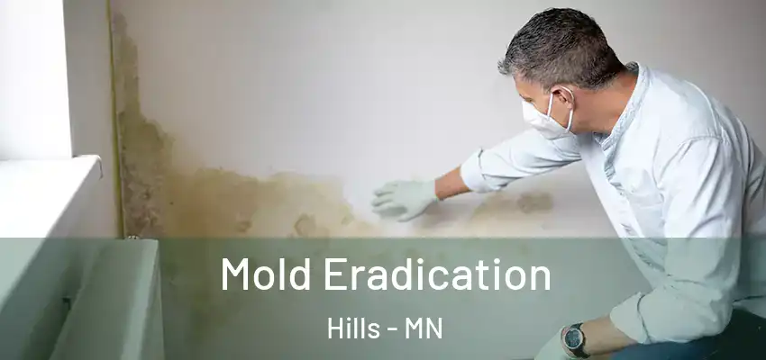  Mold Eradication Hills - MN