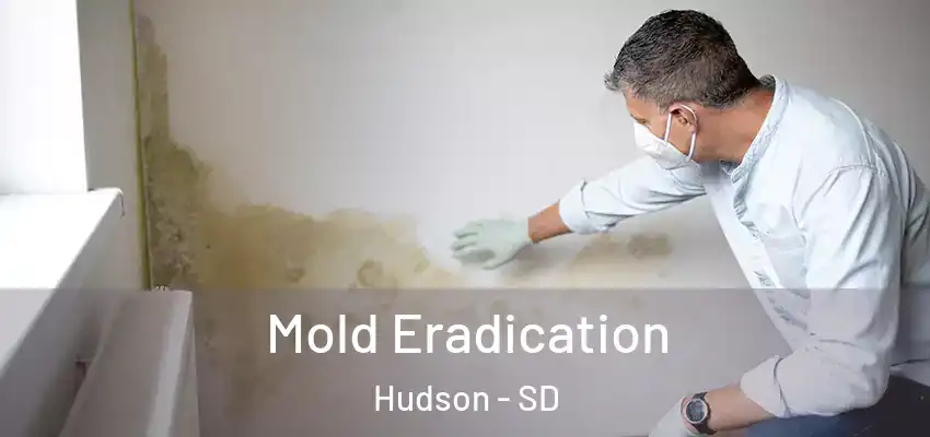  Mold Eradication Hudson - SD