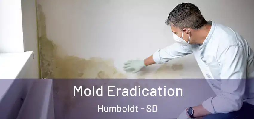  Mold Eradication Humboldt - SD