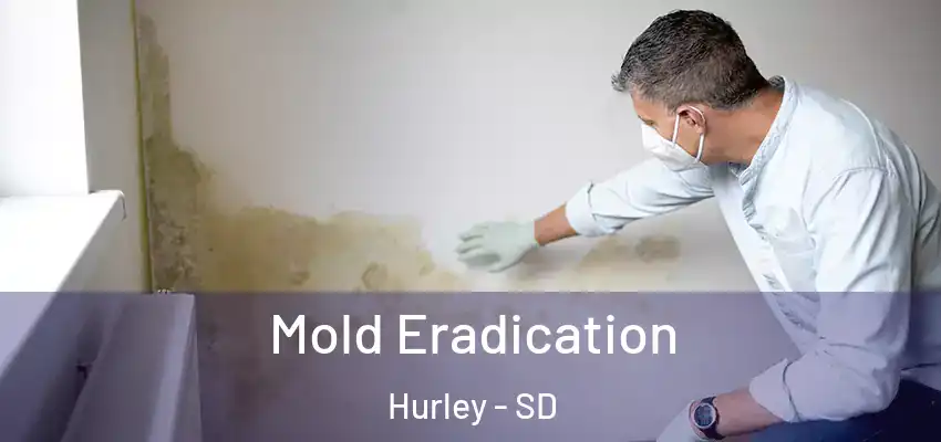 Mold Eradication Hurley - SD