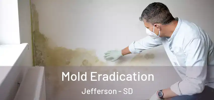 Mold Eradication Jefferson - SD