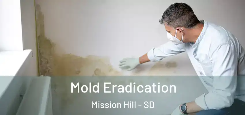  Mold Eradication Mission Hill - SD