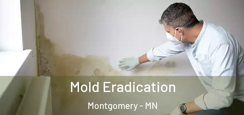  Mold Eradication Montgomery - MN