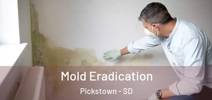 Mold Eradication Pickstown - SD