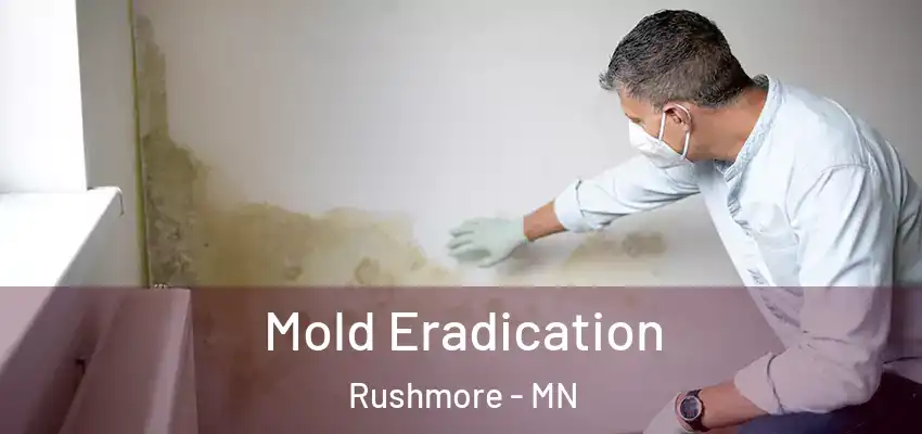 Mold Eradication Rushmore - MN