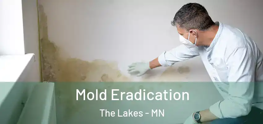  Mold Eradication The Lakes - MN