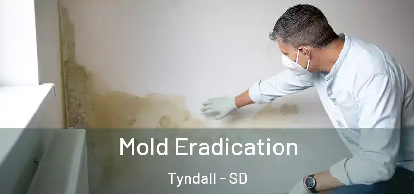 Mold Eradication Tyndall - SD