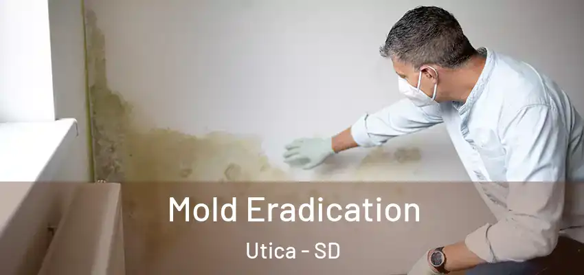 Mold Eradication Utica - SD