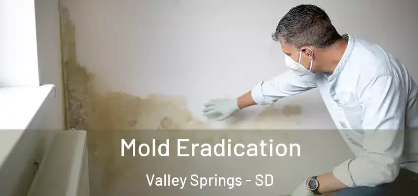 Mold Eradication Valley Springs - SD