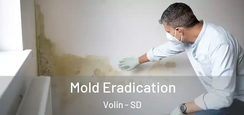 Mold Eradication Volin - SD