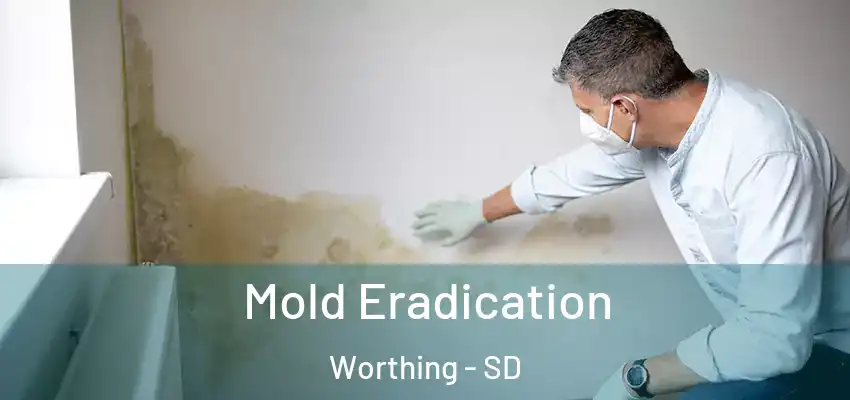  Mold Eradication Worthing - SD