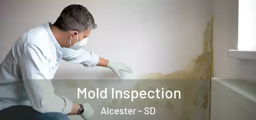  Mold Inspection Alcester - SD