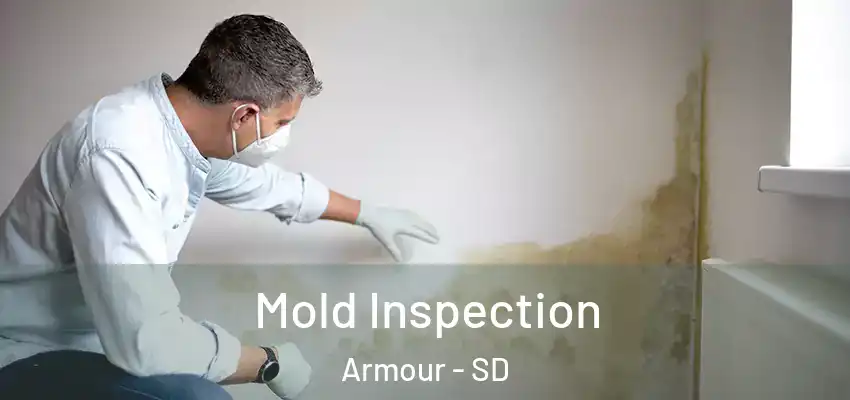  Mold Inspection Armour - SD