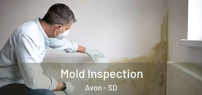  Mold Inspection Avon - SD
