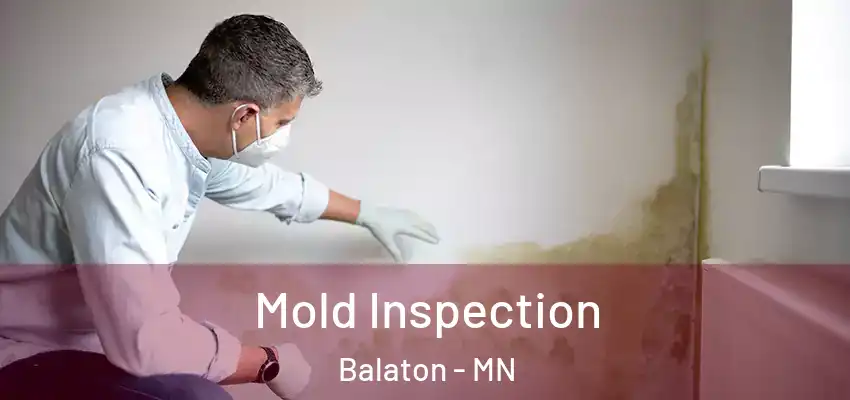 Mold Inspection Balaton - MN