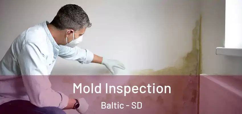  Mold Inspection Baltic - SD