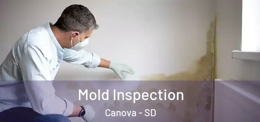 Mold Inspection Canova - SD