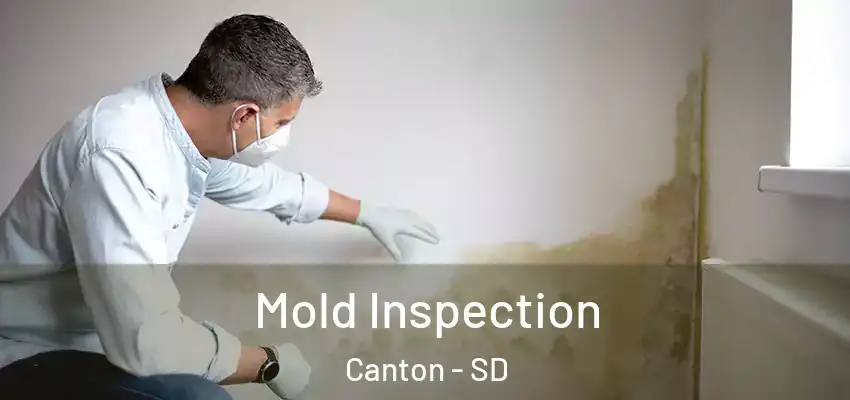  Mold Inspection Canton - SD
