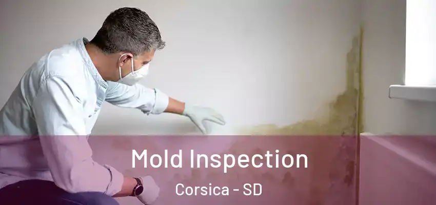  Mold Inspection Corsica - SD