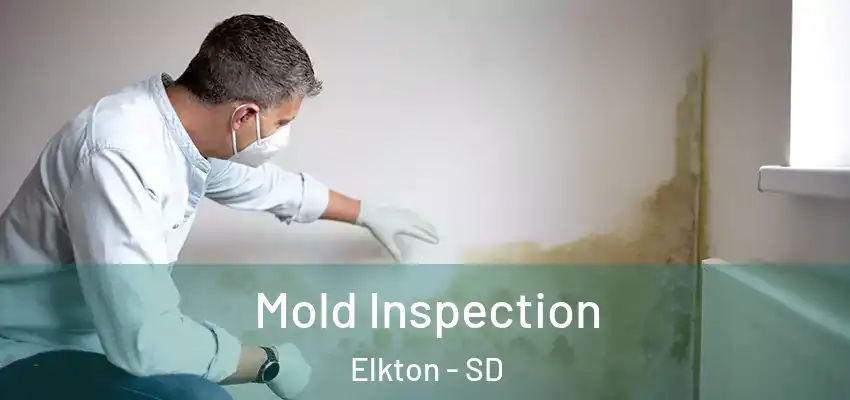 Mold Inspection Elkton - SD