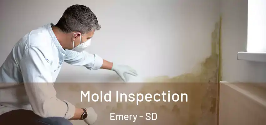 Mold Inspection Emery - SD