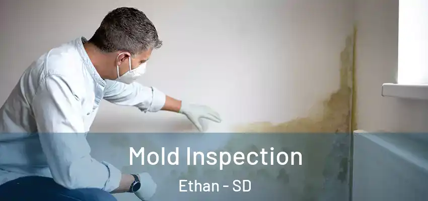  Mold Inspection Ethan - SD