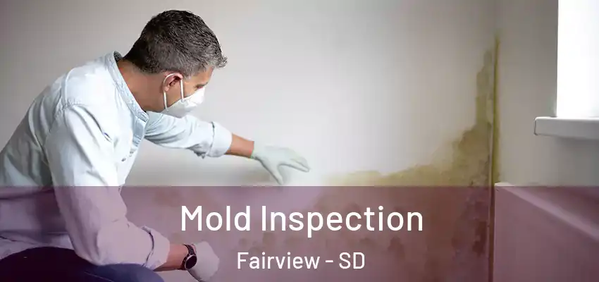  Mold Inspection Fairview - SD