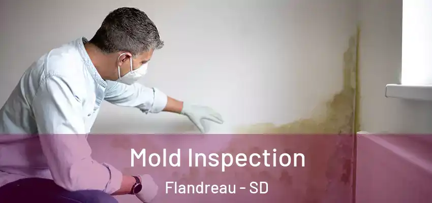  Mold Inspection Flandreau - SD