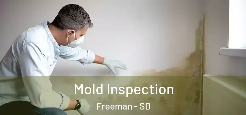  Mold Inspection Freeman - SD