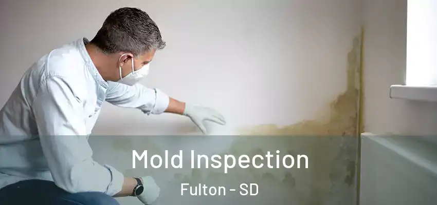  Mold Inspection Fulton - SD