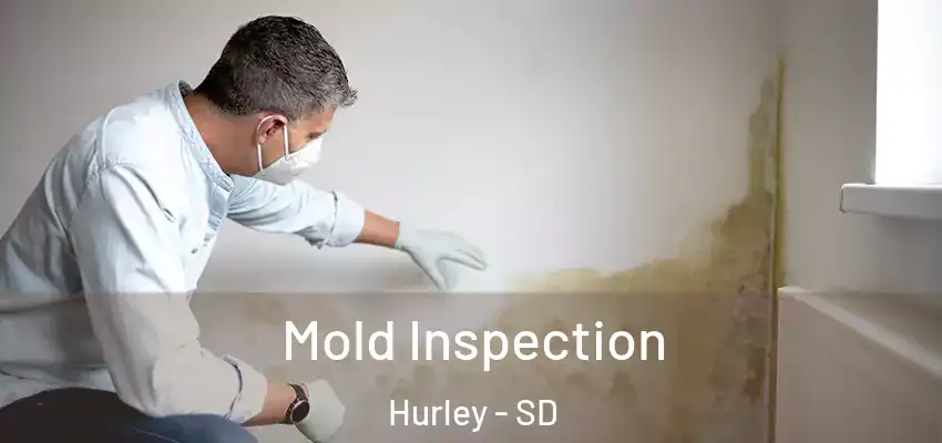 Mold Inspection Hurley - SD