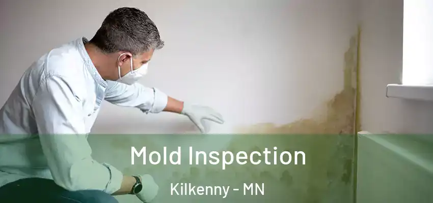 Mold Inspection Kilkenny - MN
