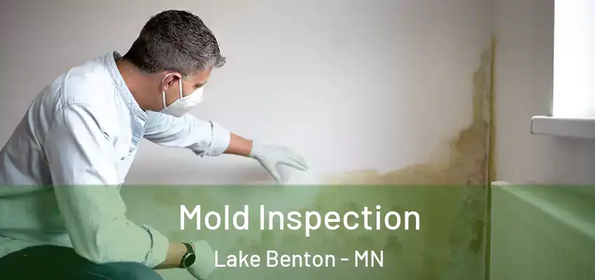 Mold Inspection Lake Benton - MN