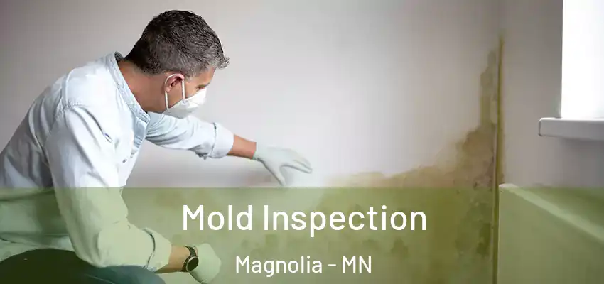 Mold Inspection Magnolia - MN