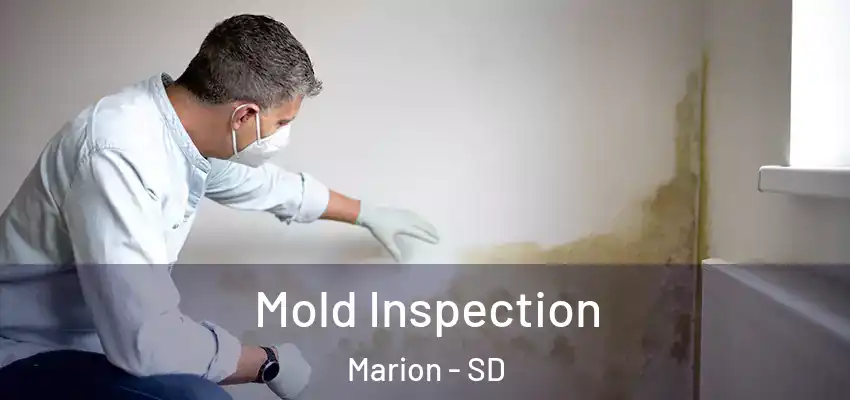 Mold Inspection Marion - SD