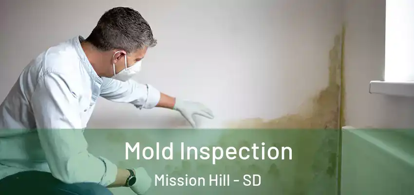 Mold Inspection Mission Hill - SD