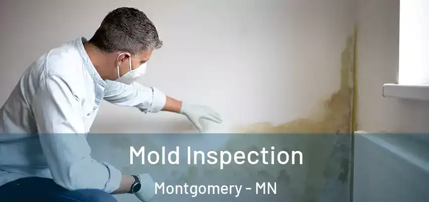  Mold Inspection Montgomery - MN