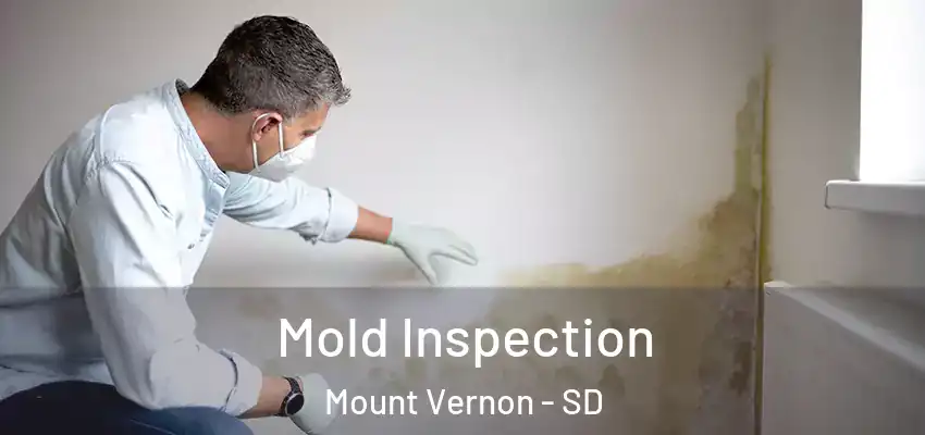  Mold Inspection Mount Vernon - SD