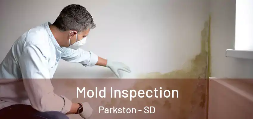  Mold Inspection Parkston - SD