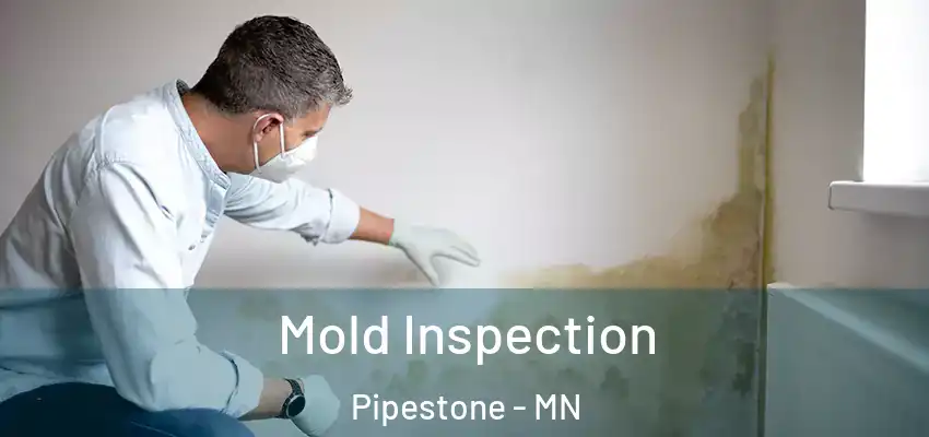  Mold Inspection Pipestone - MN