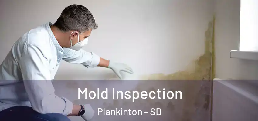 Mold Inspection Plankinton - SD