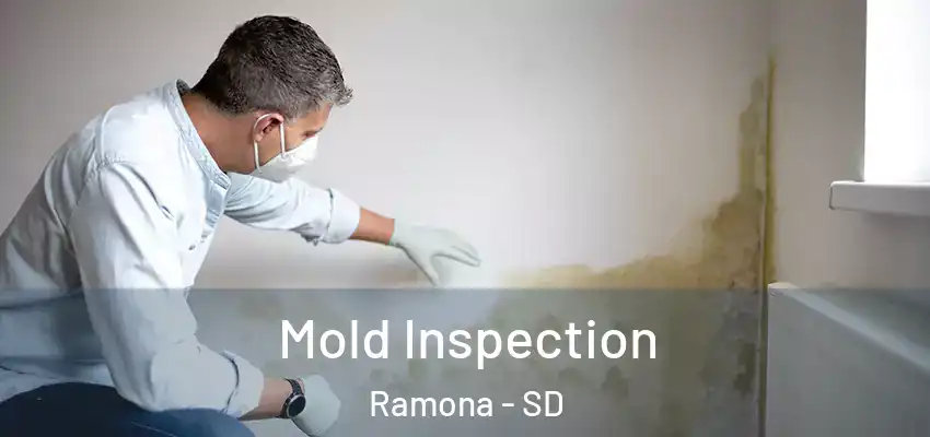  Mold Inspection Ramona - SD