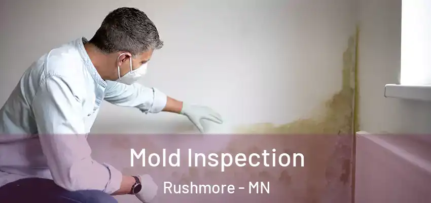  Mold Inspection Rushmore - MN