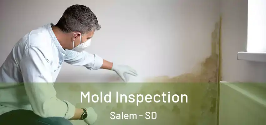  Mold Inspection Salem - SD