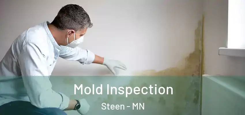  Mold Inspection Steen - MN